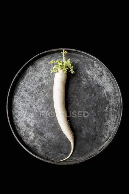 Fresh white radish — Stock Photo