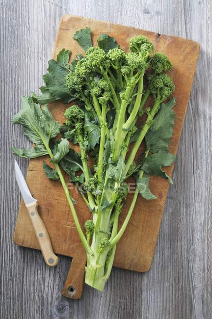 Brócoli silvestre fresco - foto de stock