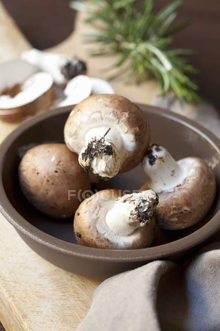 Свіжі кнопку гриби — стокове фото