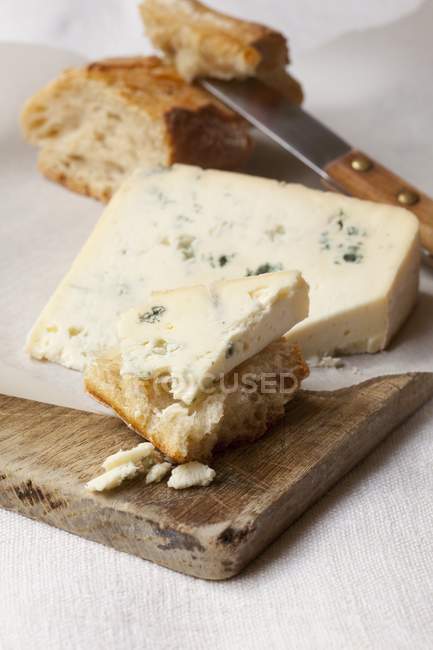 Bleu d'Auvergne cheese with bread — Stock Photo