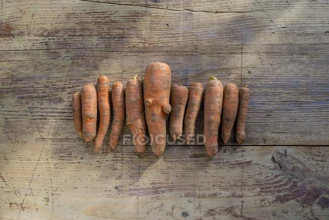 Rangée de carottes biologiques — Photo de stock