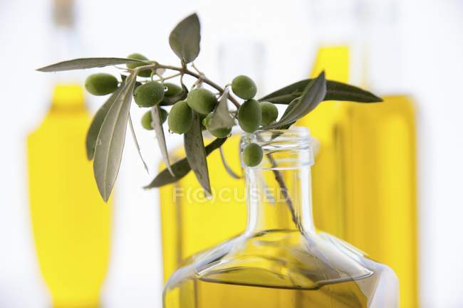 Веточка оливок в бутылке оливкового масла — стоковое фото