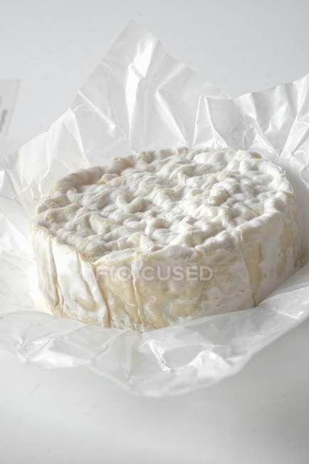 Camembert francés fresco - foto de stock