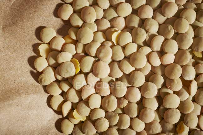 Lentilhas castanhas secas — Fotografia de Stock