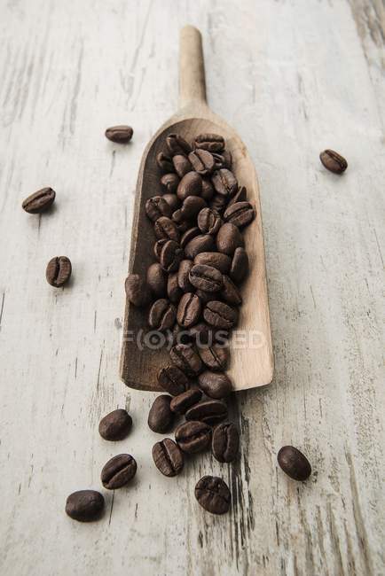 Granos de café en cucharada - foto de stock