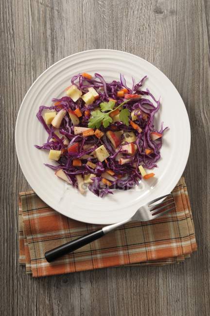 Салат з червоної капусти на тарілці — стокове фото
