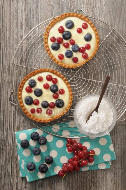 Tartlets with blueberries and currants — Stock Photo