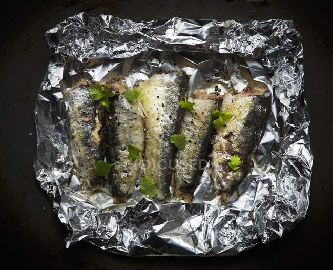 Grilled Sardines with coriander — Stock Photo