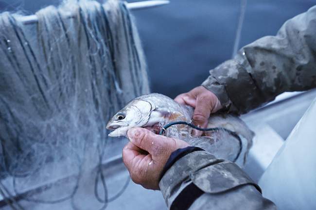Pescatori che detengono pesce appena pescato — Foto stock