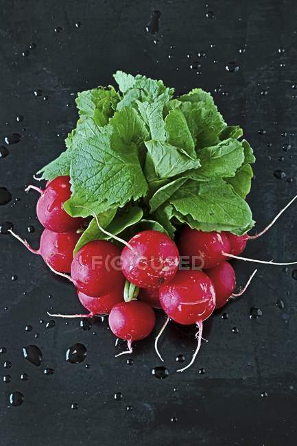 Paquet de radis fraîchement lavés — Photo de stock