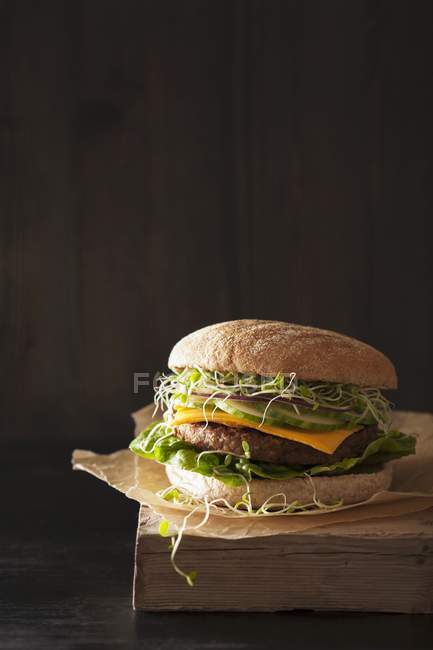 Veganer Burger mit Soja — Stockfoto