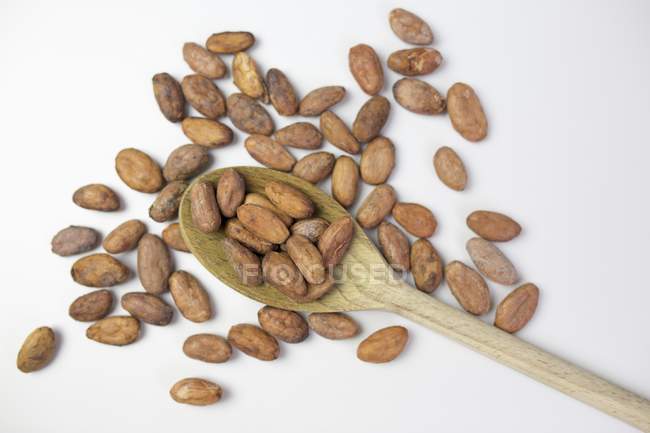 Fagioli di cacao su cucchiaio di legno — Foto stock