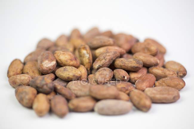 Granos de cacao frescos - foto de stock