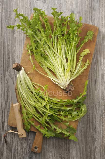 Fresh dandelions on a wooden board  over wooden surface — Stock Photo