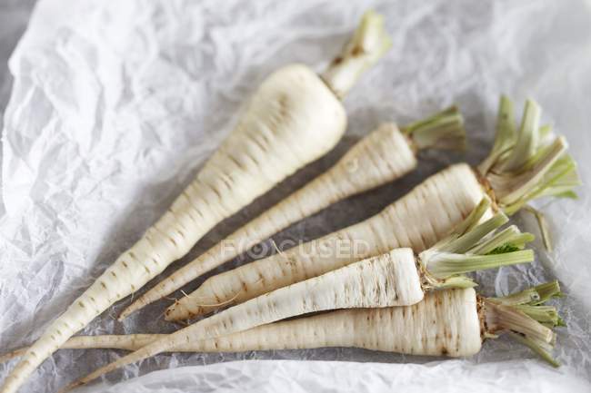 Parsley roots on paper — Stock Photo