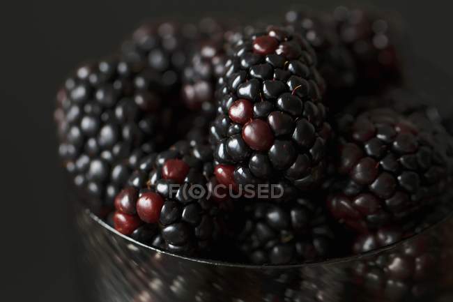 Fresh Organic Blackberries — Stock Photo