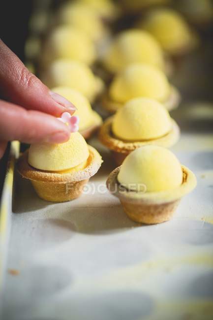 Lemon tartlets decorated with sugar flowers — Stock Photo