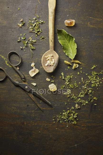 Ingredients the herbal tea — Stock Photo