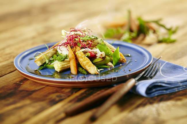 Verduras orientales con tiras de pechuga de pollo en plato azul sobre superficie de madera - foto de stock