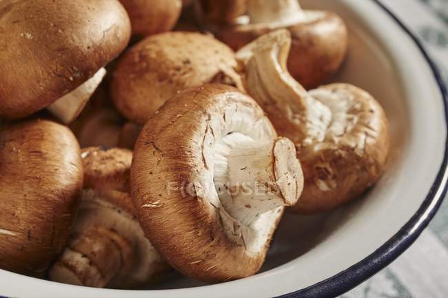 Fresh brown mushrooms — Stock Photo