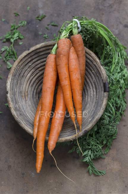 Paquete de zanahorias en tazón - foto de stock