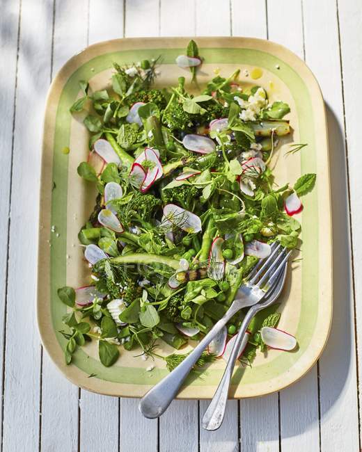 Brócolis e salada de espinafre com rabanetes e ervilhas — Fotografia de Stock