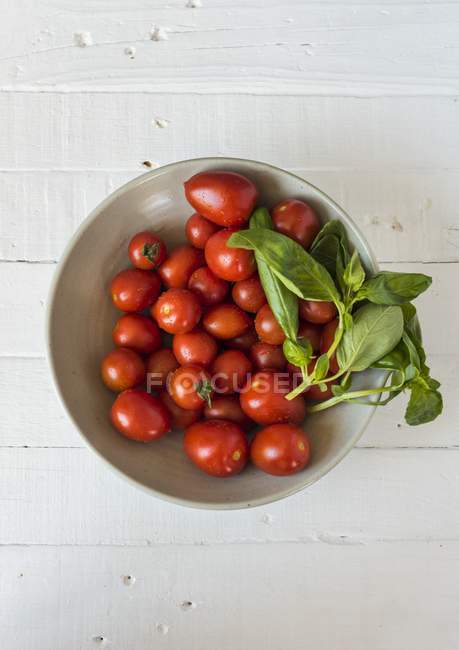Tomatoes and basil in bowl — Stock Photo