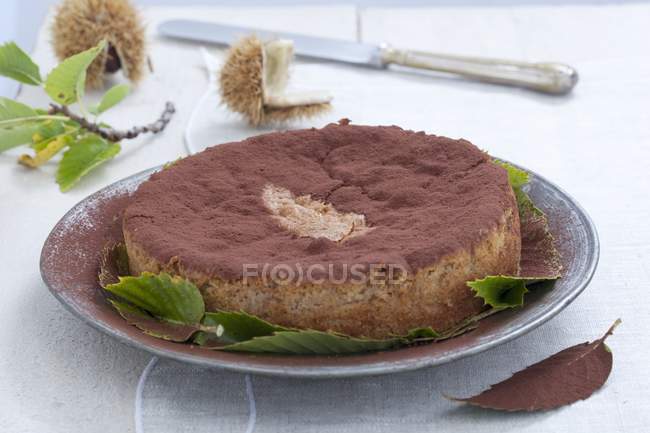 Torta di castagne — Photo de stock