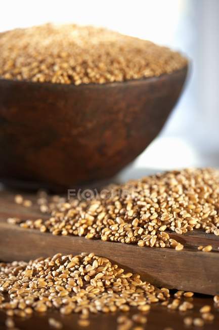 Granos de trigo en tazón - foto de stock