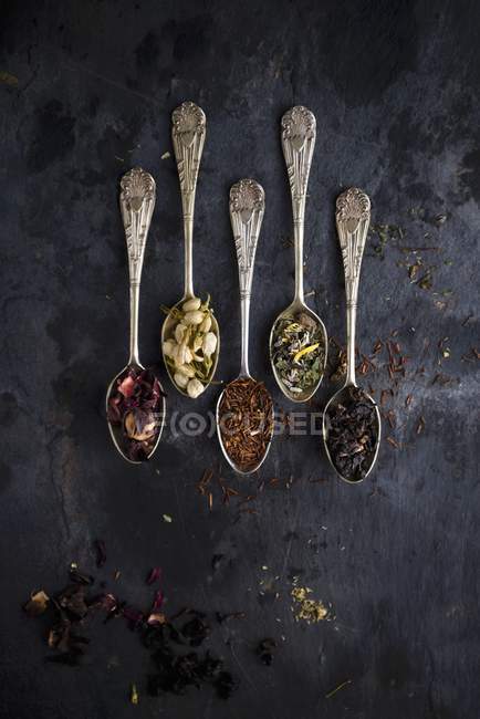 Vista dall'alto di cinque tipi di tè su cucchiai vintage — Foto stock
