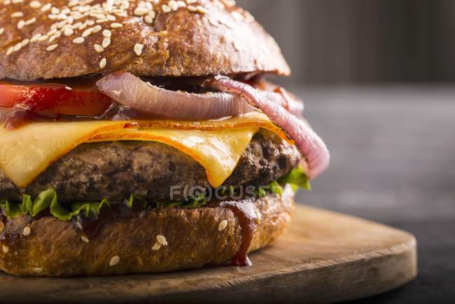 Cheeseburger mit Tomaten und Zwiebeln — Stockfoto