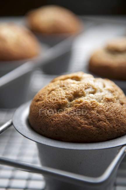 Muffins in baking tray — Stock Photo