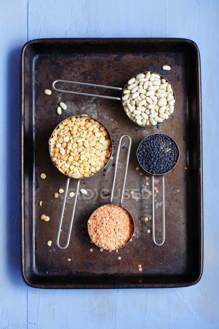 Arrangement of legumes featuring lentils — Stock Photo