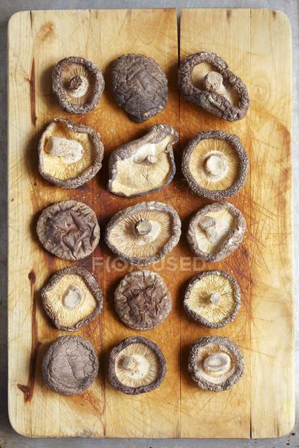 Champiñones shiitake secos - foto de stock