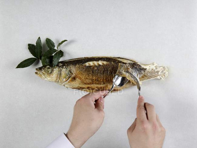 Mãos segurando pedaço de peixe baixo com colher e garfo sobre baixo com erva na superfície branca — Fotografia de Stock