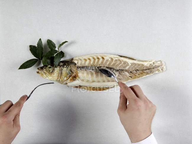 Chef filleting baked sea bass — Stock Photo