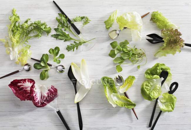 Lettuce leaves with salad — Stock Photo