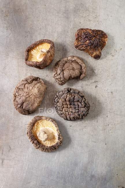 Сушеные грибы шиитаке — стоковое фото