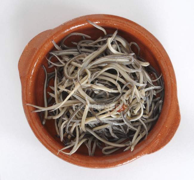 Top view of glass eels in a terracotta bowl — Stock Photo