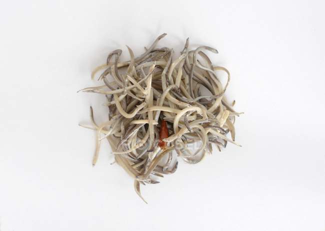 Top view of glass eels heap on a white surface — Stock Photo