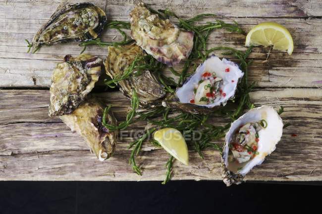 Marinated oysters with lemon and seaweed — Stock Photo