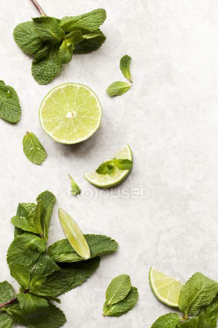 Sliced lime and mint leaves — Stock Photo