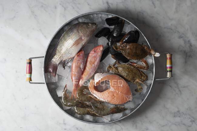 Fish and seafood on ice cubes — Stock Photo