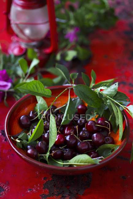 Fresh cherries with leaves — Stock Photo