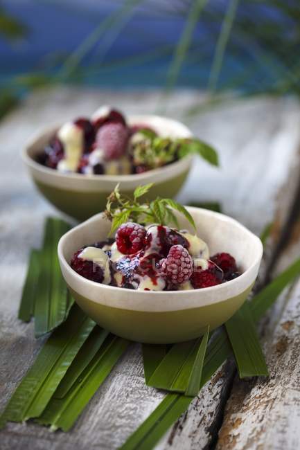 Closeup view of frozen wild berries with vanilla sauce — Stock Photo