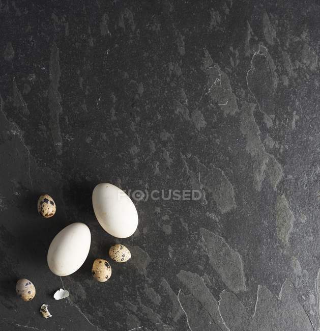 Fresh Goose and quail eggs — Stock Photo