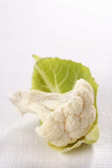 Fresh cauliflower floret with leaf — Stock Photo