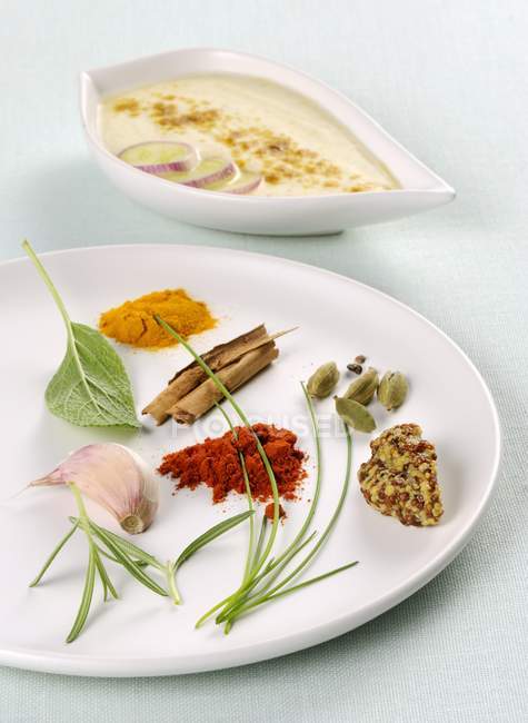Крупный план различных трав и специй на тарелке и соусе — стоковое фото