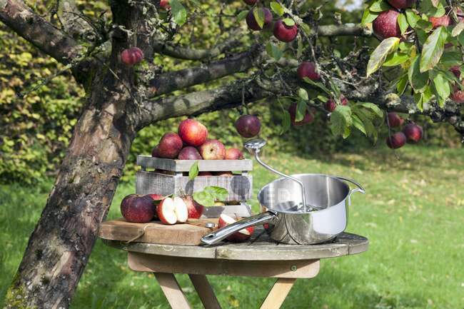 Pommes fraîchement récoltées — Photo de stock