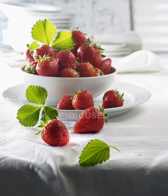 Frische Erdbeeren und Blätter — Stockfoto